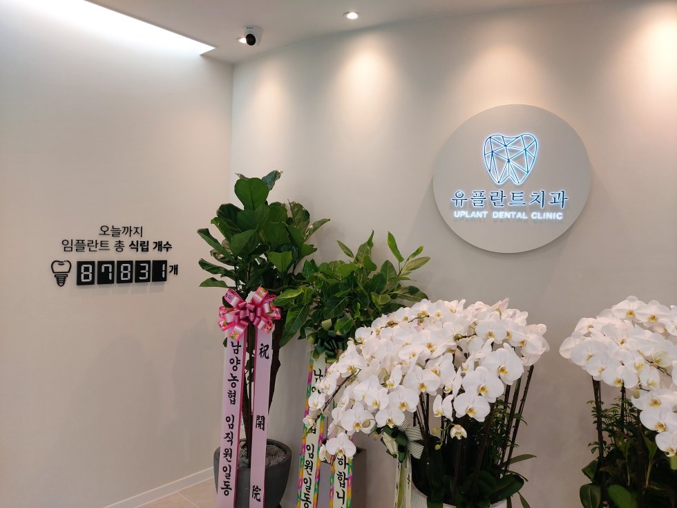#유플란트치과#유플란트치과#청주#